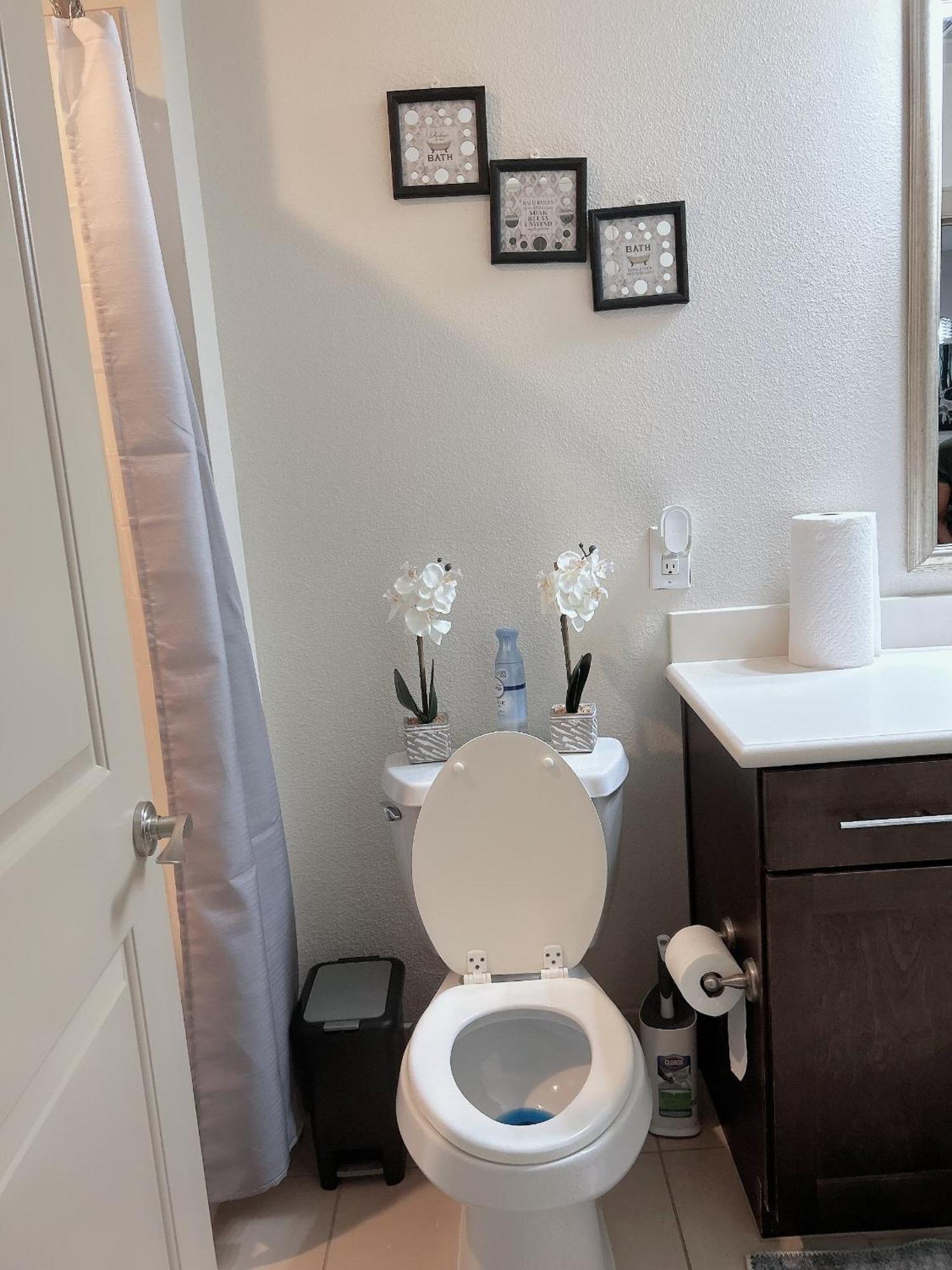 Domain At Kirby Apartment